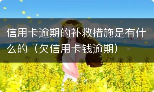 信用卡逾期的补救措施是有什么的（欠信用卡钱逾期）