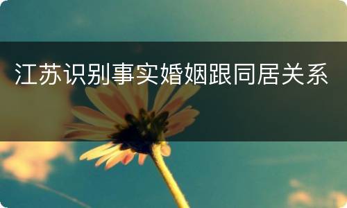 江苏识别事实婚姻跟同居关系