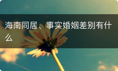 海南同居、事实婚姻差别有什么