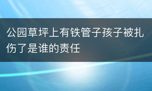 公园草坪上有铁管子孩子被扎伤了是谁的责任