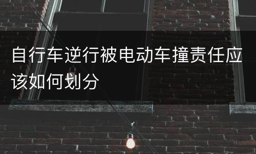 自行车逆行被电动车撞责任应该如何划分