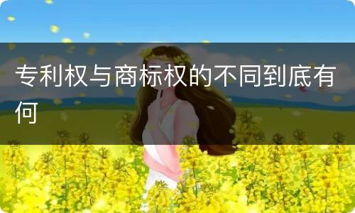 专利权与商标权的不同到底有何