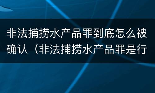 非法捕捞水产品罪到底怎么被确认（非法捕捞水产品罪是行为犯吗）
