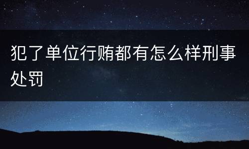 犯了单位行贿都有怎么样刑事处罚