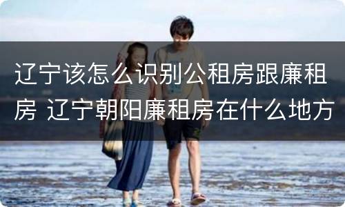 辽宁该怎么识别公租房跟廉租房 辽宁朝阳廉租房在什么地方