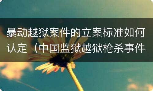 暴动越狱案件的立案标准如何认定（中国监狱越狱枪杀事件）