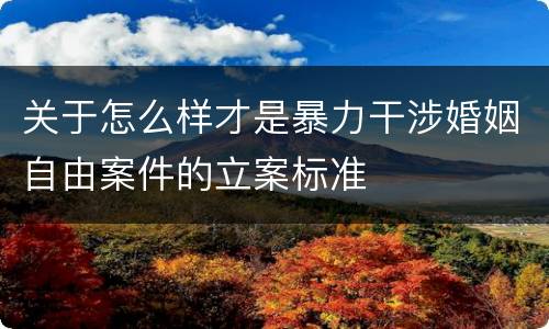 关于怎么样才是暴力干涉婚姻自由案件的立案标准