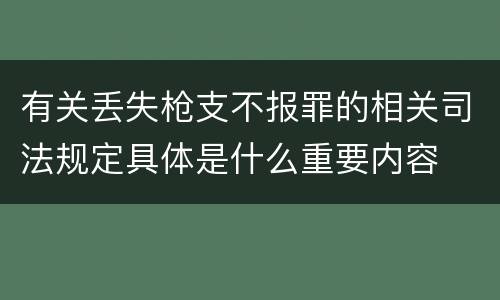 有关丢失枪支不报罪的相关司法规定具体是什么重要内容