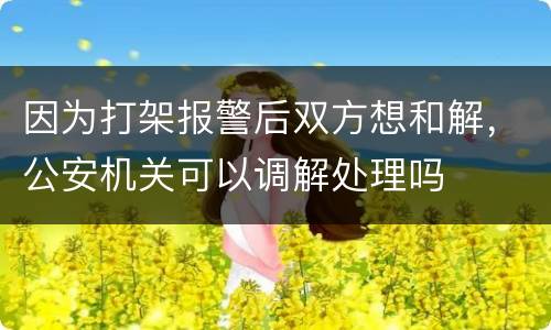 因为打架报警后双方想和解，公安机关可以调解处理吗