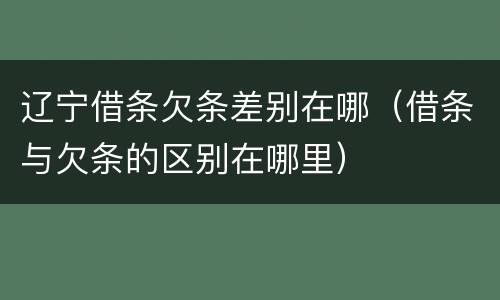 辽宁借条欠条差别在哪（借条与欠条的区别在哪里）