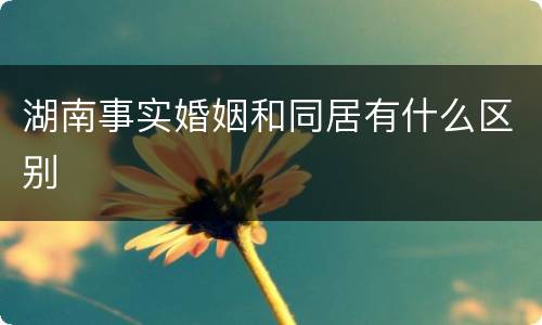 湖南事实婚姻和同居有什么区别