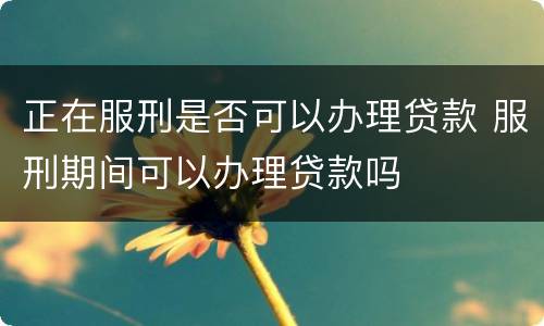 正在服刑是否可以办理贷款 服刑期间可以办理贷款吗