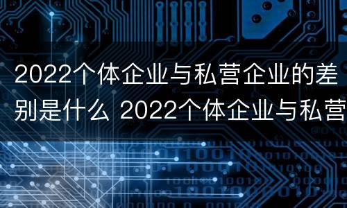 2022个体企业与私营企业的差别是什么 2022个体企业与私营企业的差别是什么意思