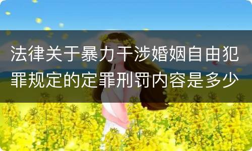 法律关于暴力干涉婚姻自由犯罪规定的定罪刑罚内容是多少