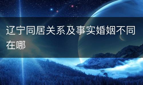 辽宁同居关系及事实婚姻不同在哪