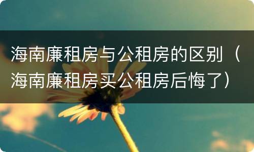 海南廉租房与公租房的区别（海南廉租房买公租房后悔了）