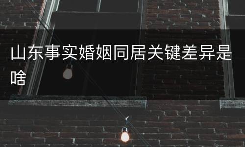山东事实婚姻同居关键差异是啥