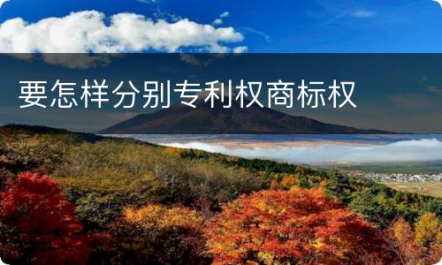 要怎样分别专利权商标权