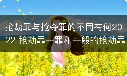 抢劫罪与抢夺罪的不同有何2022 抢劫罪一罪和一般的抢劫罪