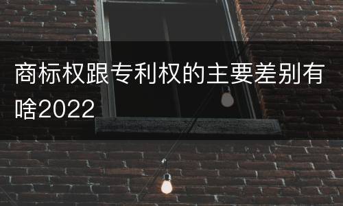 商标权跟专利权的主要差别有啥2022