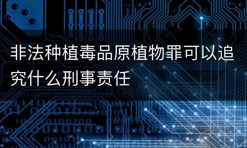 非法种植毒品原植物罪可以追究什么刑事责任