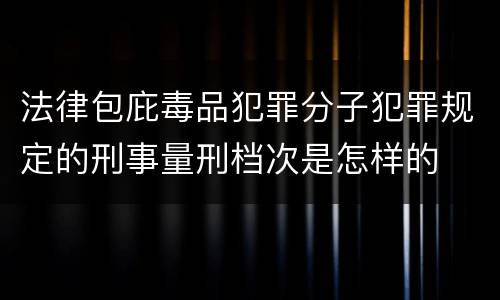 法律包庇毒品犯罪分子犯罪规定的刑事量刑档次是怎样的