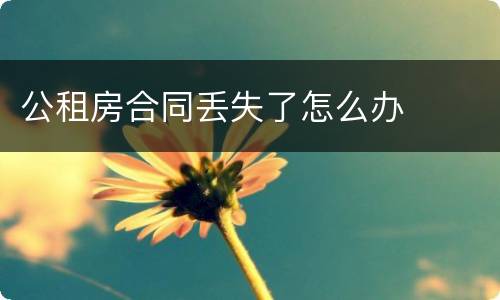 公租房合同丢失了怎么办