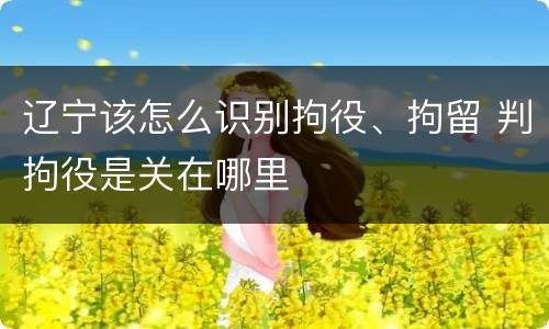 辽宁该怎么识别拘役、拘留 判拘役是关在哪里