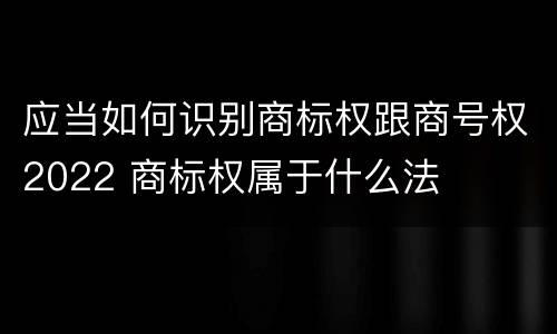 应当如何识别商标权跟商号权2022 商标权属于什么法