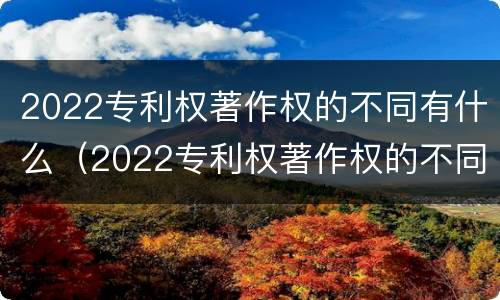 2022专利权著作权的不同有什么（2022专利权著作权的不同有什么区别）