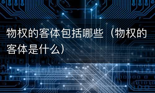 物权的客体包括哪些（物权的客体是什么）
