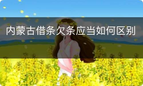 内蒙古借条欠条应当如何区别