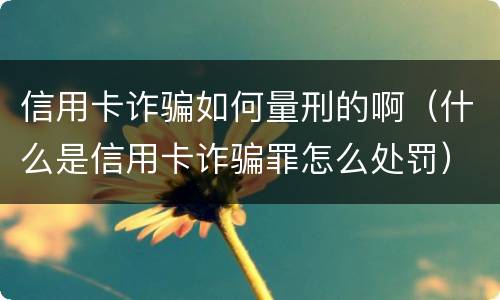信用卡诈骗如何量刑的啊（什么是信用卡诈骗罪怎么处罚）