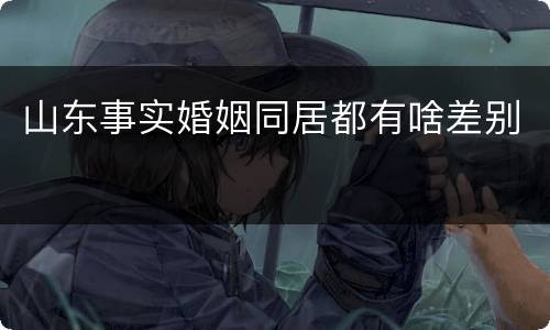 山东事实婚姻同居都有啥差别