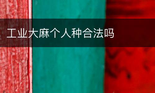 工业大麻个人种合法吗