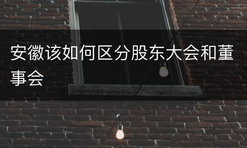 安徽该如何区分股东大会和董事会