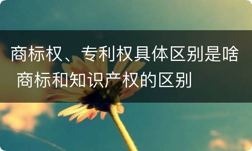 商标权、专利权具体区别是啥 商标和知识产权的区别