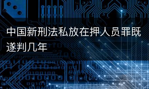 中国新刑法私放在押人员罪既遂判几年