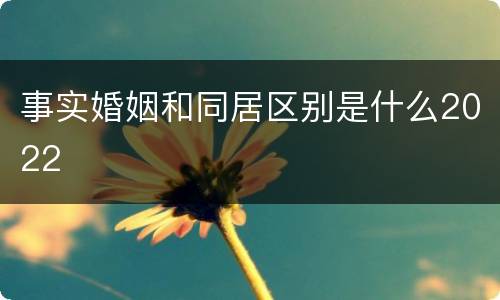 事实婚姻和同居区别是什么2022