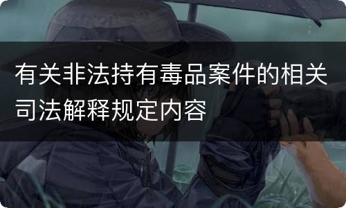 有关非法持有毒品案件的相关司法解释规定内容