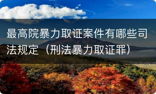 最高院暴力取证案件有哪些司法规定（刑法暴力取证罪）