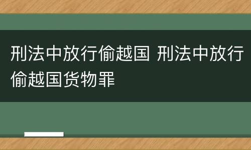 刑法中放行偷越国 刑法中放行偷越国货物罪