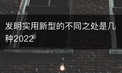 发明实用新型的不同之处是几种2022