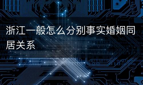 浙江一般怎么分别事实婚姻同居关系