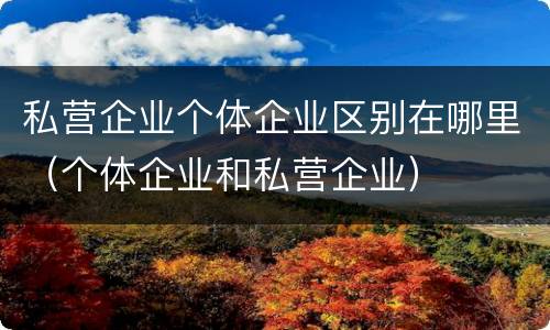 私营企业个体企业区别在哪里（个体企业和私营企业）