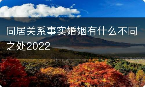 同居关系事实婚姻有什么不同之处2022