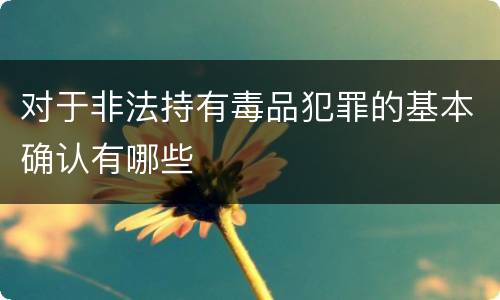 对于非法持有毒品犯罪的基本确认有哪些