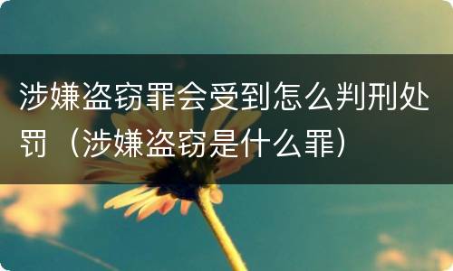 涉嫌盗窃罪会受到怎么判刑处罚（涉嫌盗窃是什么罪）