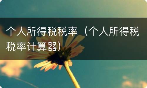 个人所得税税率（个人所得税税率计算器）