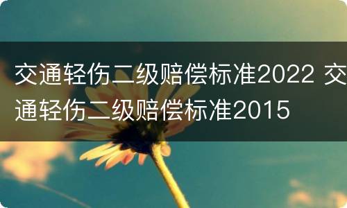 交通轻伤二级赔偿标准2022 交通轻伤二级赔偿标准2015